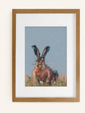 Laura Ashley Blue Hare Medium Wall Art Frame, UK version