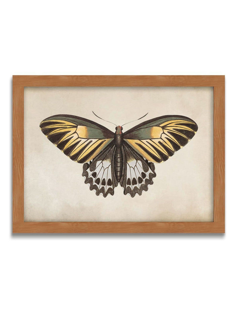 Graham & Brown Whimsical Wings butterfly framed art large (British brand)