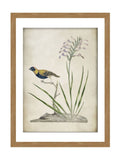 Graham & Brown multicolour Birds Rest wall art wood frame, UK version