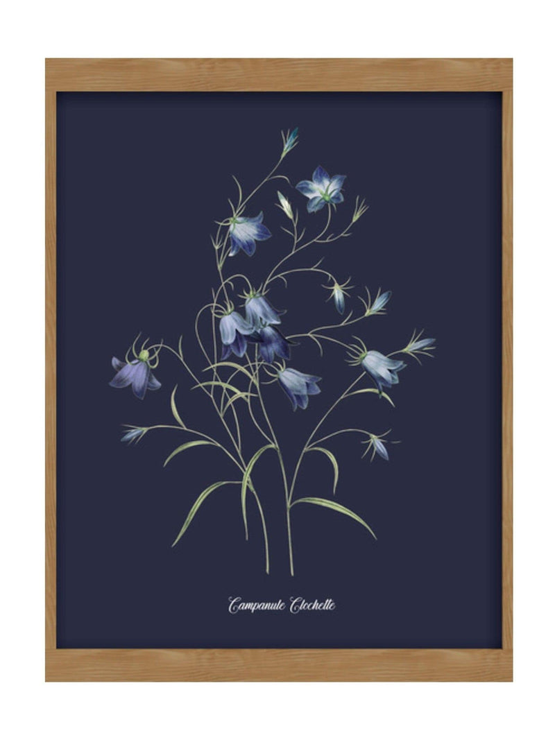 Graham & Brown Bluebell wood frame wall art - British product