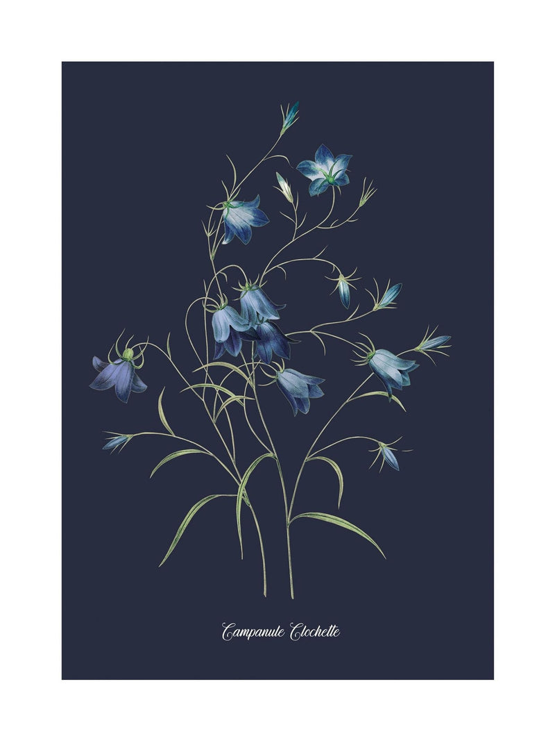 Graham & Brown Bluebell wood frame wall art - British product