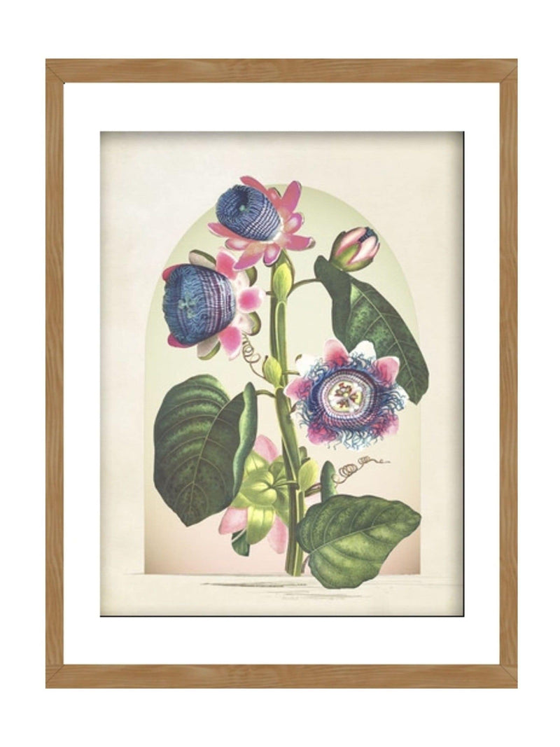 Graham & Brown Botanique Jungle Bloom wood frame 43x53 cm, imported from the UK