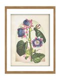 Graham & Brown Botanique Jungle Bloom wood frame 43x53 cm, imported from the UK