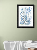 Next East End Prints Black Blue Seaweed I Wall Art Print by Cartissi- Buy online at McGrocer