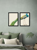 East End Prints black peacock print wall art set - British product