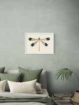Next East End Prints White British Dragonfly Wall Art Print by Natural History Museum- Buy online at McGrocer
