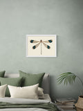 East End Prints White British Dragonfly wall art print - British product