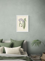 Next East End Prints White Bee and Wild Hyacinth Wall Art Print by Natural History Museum- Buy online at McGrocer