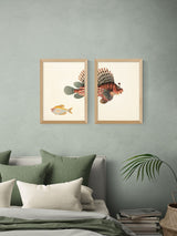 Next East End Prints Set of 2 Oak Fish Wall Art Prints by Natural History Museum- Buy online at McGrocer