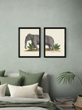 East End Prints Set of 2 Black Elephant Wall Art Prints by Natural History Museum