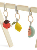 Mamas & Papas Born To Be Wild play arch one - British product