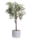 Scottish Everlastings artificial olive tree in ceramic pot 110cm, UK version