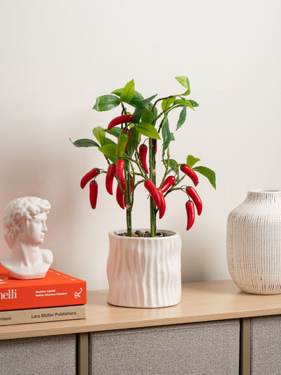 Next Scottish Everlastings Ltd Green Artificial Chilli Plant in Ceramic Pot 49cm- Buy online at McGrocer