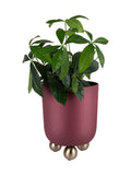 Present Time Dark Mauve Large Estilo Plant Pot