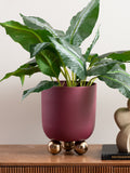 Present Time Dark Mauve Large Estilo Plant Pot