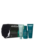 Aveda Hair Repair Wellness Set masque and leave-in treatment (British brand)