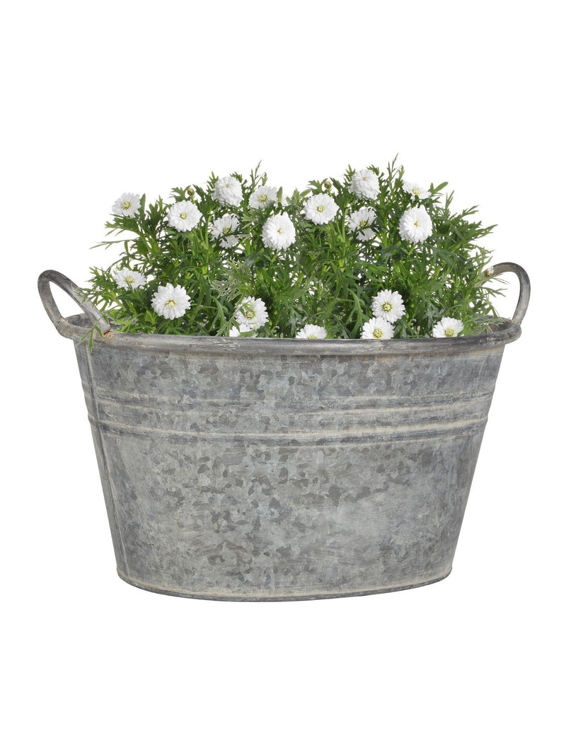 Dibor silver galvanised tub planter medium, imported from the UK