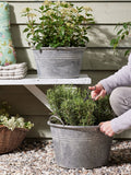 Dibor silver galvanised tub planter medium, imported from the UK