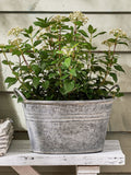 Dibor silver galvanised tub planter medium, imported from the UK