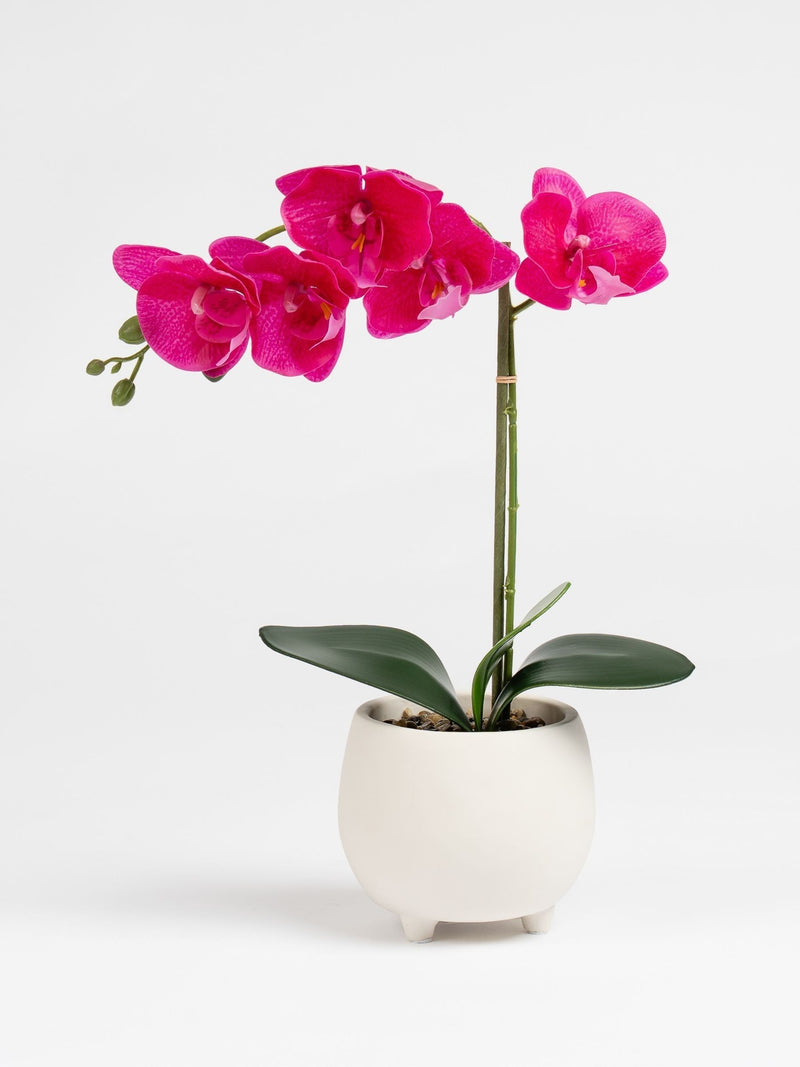 Scottish Everlastings Ltd artificial pink orchid 40cm - British product