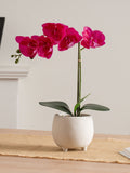 Scottish Everlastings Ltd artificial pink orchid 40cm - British product