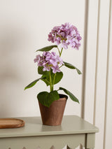 Next Scottish Everlastings Ltd Lilac Artificial Hydrangea in Rustic Pot 40cm- Buy online at McGrocer