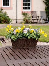 Next Scottish Everlastings Ltd Multi Mixed Artificial Floral Outdoor Planter 50cm- Buy online at McGrocer