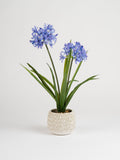 Scottish Everlastings artificial blue hyacinth 64cm, imported from the UK