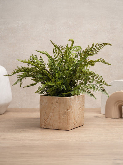 Next Scottish Everlastings Ltd Green Artificial Fern in Travertine Style Pot 43cm- Buy online at McGrocer