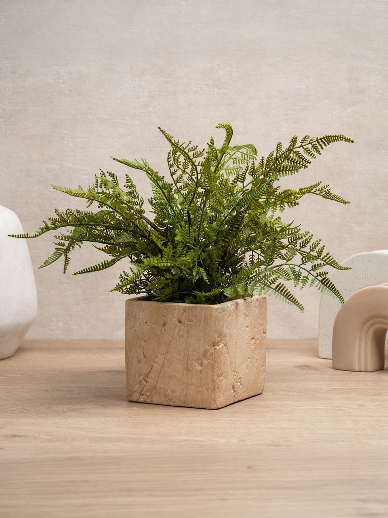 Scottish Everlastings artificial fern in travertine pot, imported from the UK