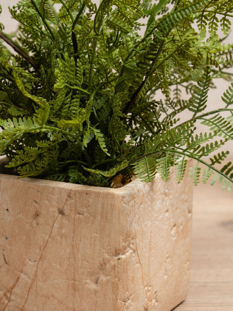 Scottish Everlastings artificial fern in travertine pot, imported from the UK