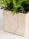 Scottish Everlastings artificial fern in travertine pot, imported from the UK