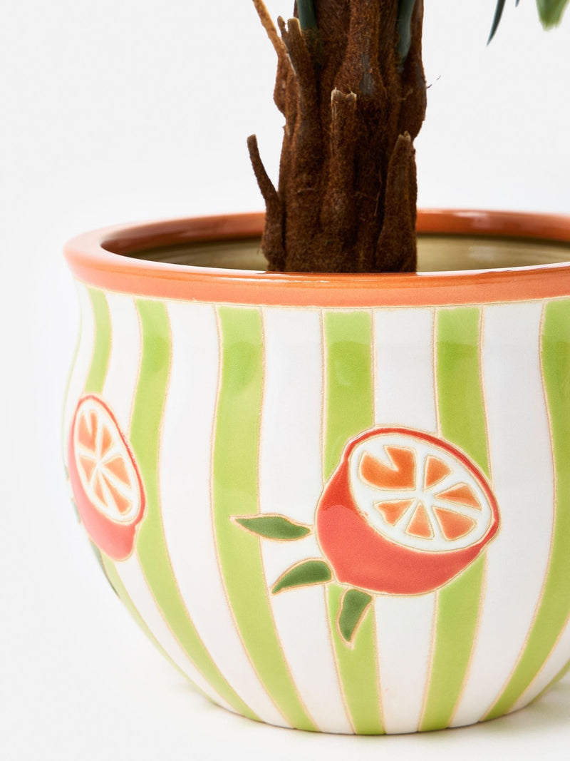 Oliver Bonas green striped orange ceramic plant pot (British brand)
