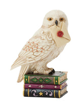 Next Jim Shore Harry Potter Multicolour Hedwig Mini Figurine- Buy online at McGrocer