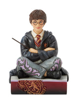 Next Jim Shore Harry Potter The Chosen One Figurine- Buy online at McGrocer