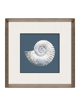 Next Brookpace Lascelles Blue/White Porcelain Nautilus Shell Wall Art 56cm Square- Buy online at McGrocer