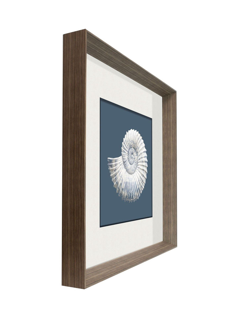 Brookpace blue white porcelain nautilus shell wall art 56cm - British product