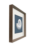 Brookpace blue white porcelain nautilus shell wall art 56cm - British product