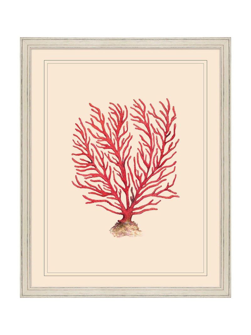 Brookpace Lascelles red and white coral wall art frame 55x45cm - British product