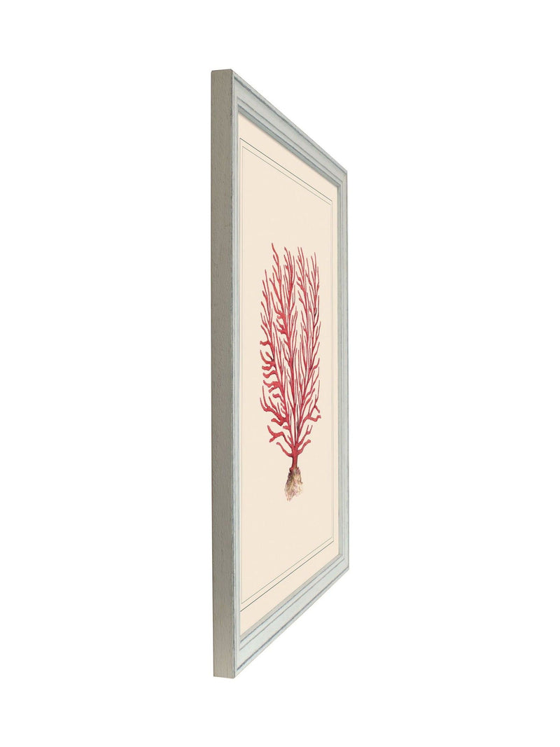 Brookpace Lascelles red and white coral wall art frame 55x45cm - British product