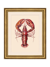 Next Brookpace Lascelles Red/Gold Lobster II Wall Art in Colour Frame 58cm x 48cm- Buy online at McGrocer