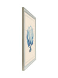 Brookpace Lascelles blue white seaweed print wall art (British brand)