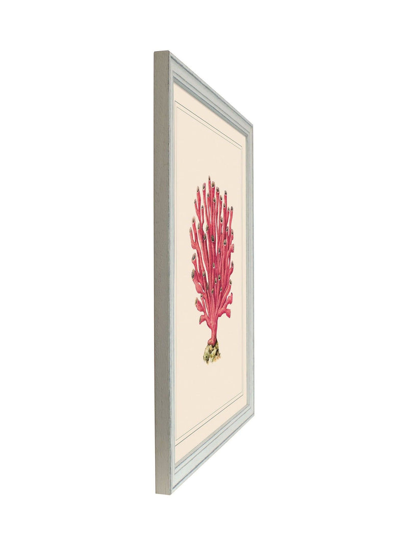 Brookpace Lascelles red white coral wall art 55.5x45.5cm - British product