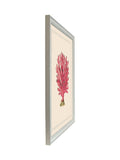 Brookpace Lascelles red white coral wall art 55.5x45.5cm - British product