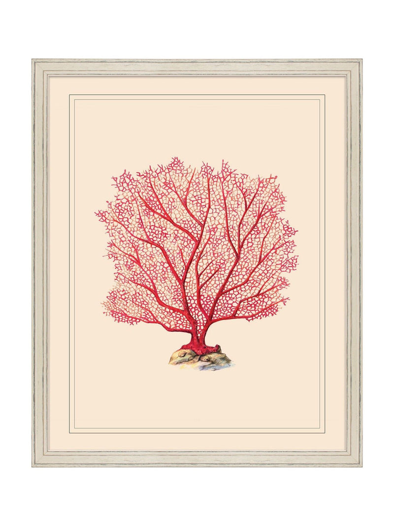 Brookpace Lascelles red coral wall art framed 55.5cm, UK version