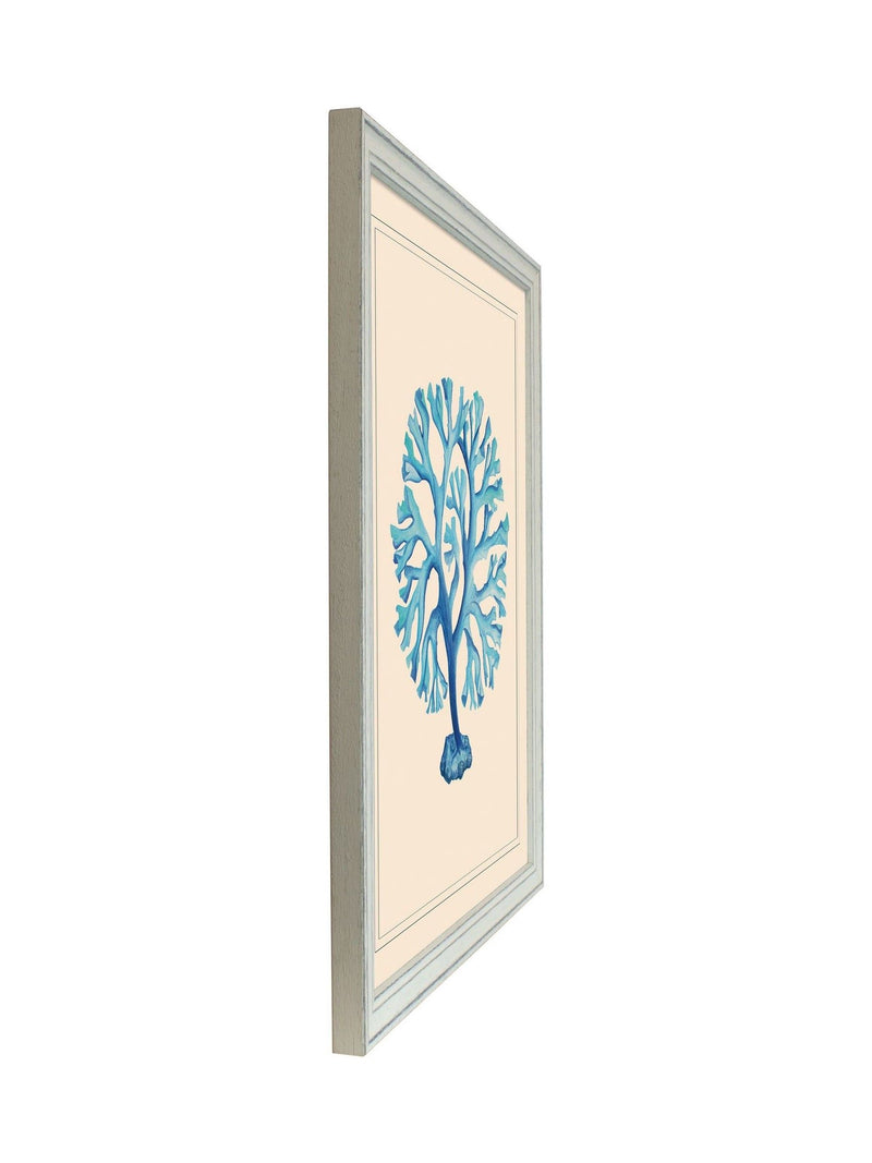 Brookpace Lascelles seaweed wall art 55x45cm - British product