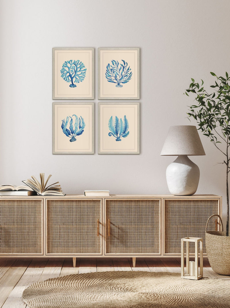 Brookpace Lascelles seaweed wall art in vintage frame, UK version