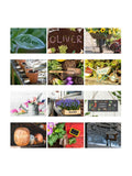 PMC personalised A4 gardening calendar, UK version