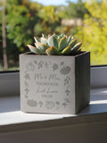 PMC personalised pumpkin concrete plant pot 10cm - British product