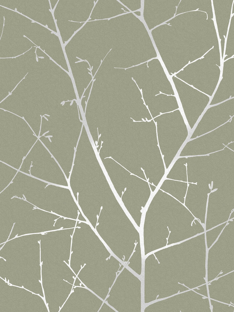 Graham & Brown Sage Boreas A4 wallpaper sample (British brand)